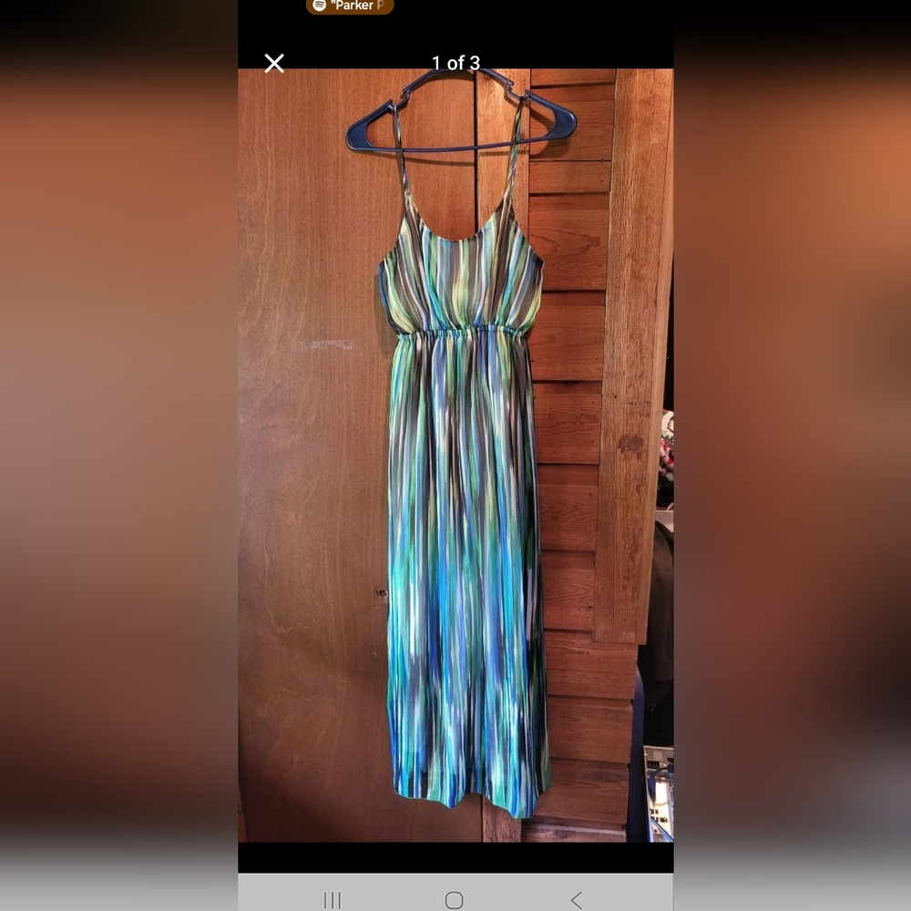 Pink Rose Green and Blue Maxi Dress